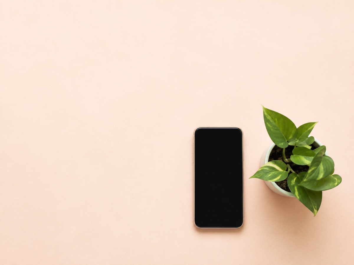 画面の消えたスマートフォンと小さな観葉植物